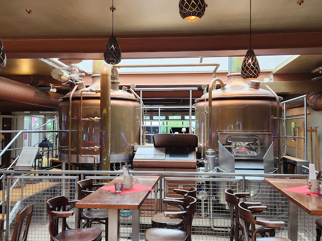 Comentarii opinii despre Stiegl-Ambulanz