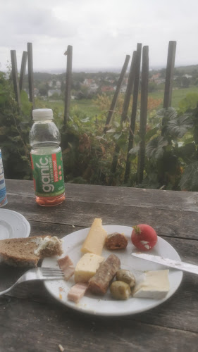 Fehnerweg 40, 2380 Perchtoldsdorf