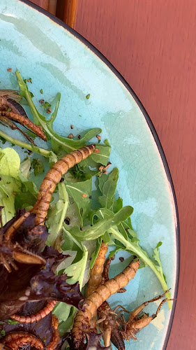 Opinii despre Hollers Steakhaus în Wiener Neustadt - Gastronomie und Hotellerie