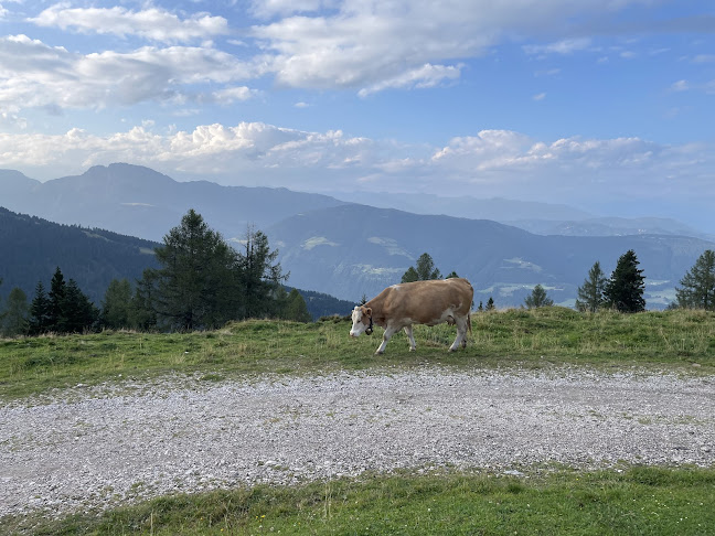 Opinii despre Tröpolach Alm în Puchberg am Schneeberg - Gastronomie und Hotellerie
