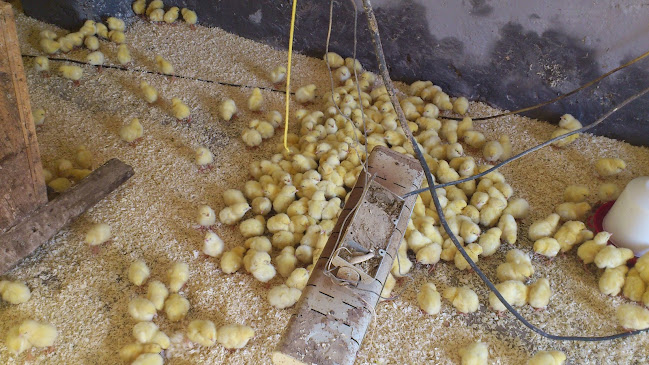 Kaiserweg 7, 9586 Villach