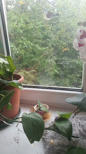 Burger Boutique - Gastronomie und Hotellerie