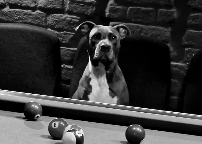 Club Cafe Quattro - Gastronomie und Hotellerie