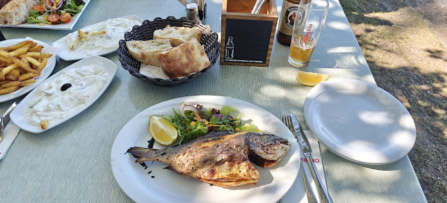 Comentarii opinii despre Flamingo Marina Kuchelau