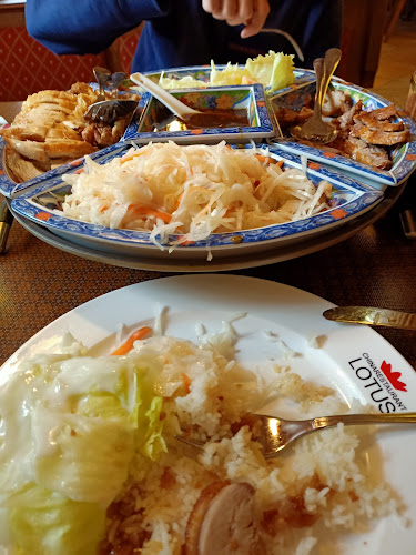 Comentarii opinii despre LOTUS Chinarestaurant
