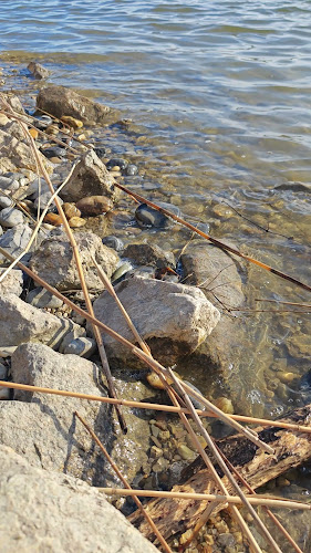 Jamaica Beach - Wien