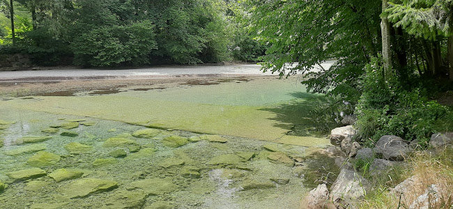 Viechtwang 1, 4644 Viechtwang