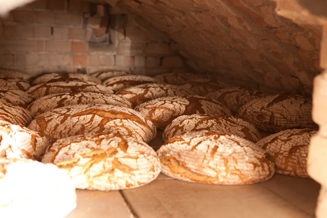 Comentarii opinii despre Scherbauerhof (Fam Bloder)