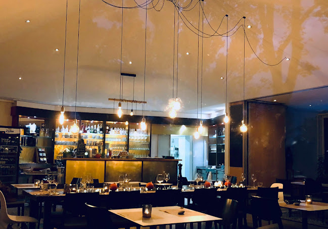 Comentarii opinii despre VOLEE - Club • Cafe • Restaurant