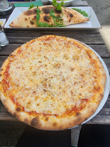 Comentarii opinii despre Contra Punto