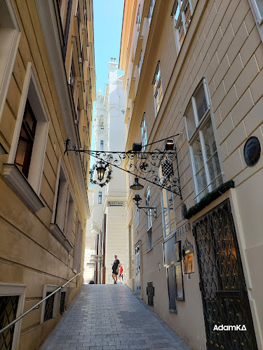 Comentarii opinii despre Joseph Brot • Wien Bio Bäckerei