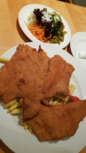 Comentarii opinii despre Haydnbräu