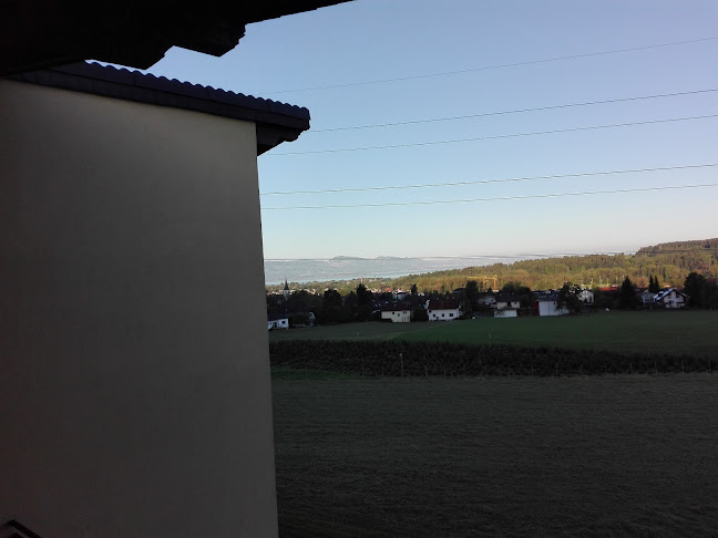 Comentarii opinii despre Hai Li