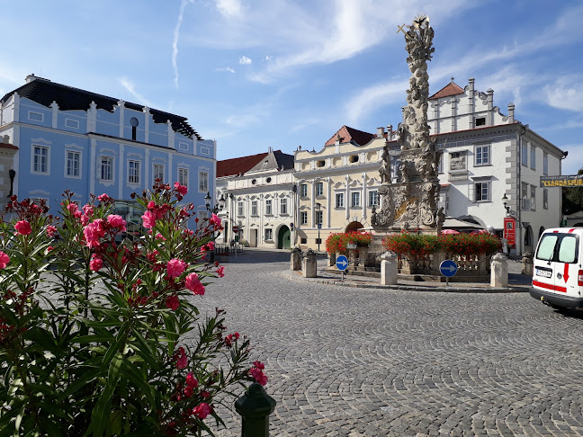 Holzpl. 7, 3550 Langenlois