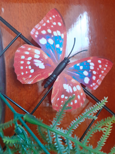 Comentarii opinii despre Würstelbox