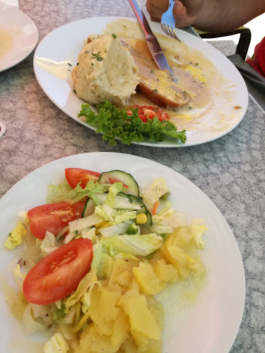 Comentarii opinii despre Michael Riedrich GmbH