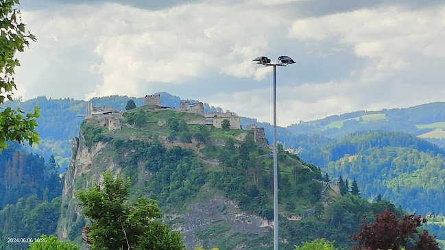 Comentarii opinii despre Mochoritsch Griffen-Rast