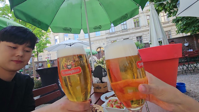 Wiener Grill Haus - Wien