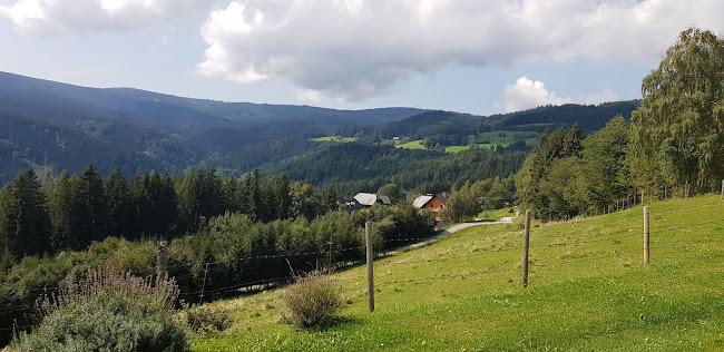 Alpengasthaus Messner - Soboth