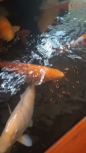 Watertuin World Kitchen - Wien