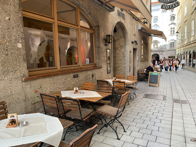 Wirtshaus Elefant - Gastronomie und Hotellerie