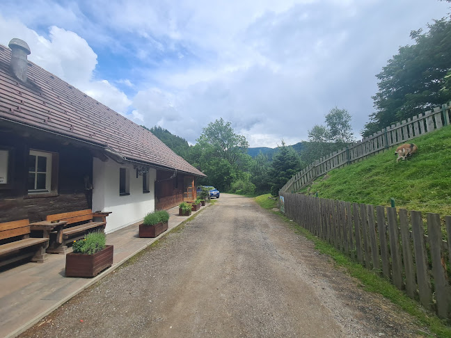 Comentarii opinii despre Einkehr Prieselbauer