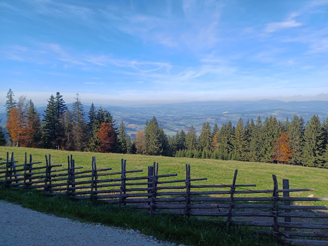 Masenberger Olmstoll - Schachen bei Vorau