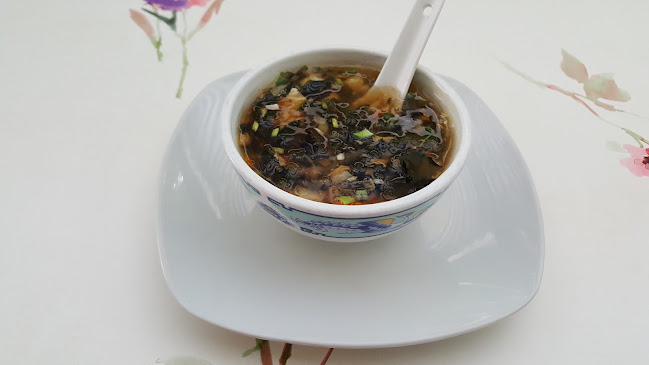 Pollheimerstraße 5, 4600 Wels