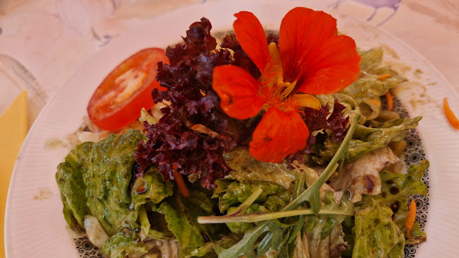 Comentarii opinii despre Alpengasthaus Messner