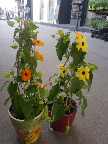 Blumen Dunja - Gastronomie und Hotellerie