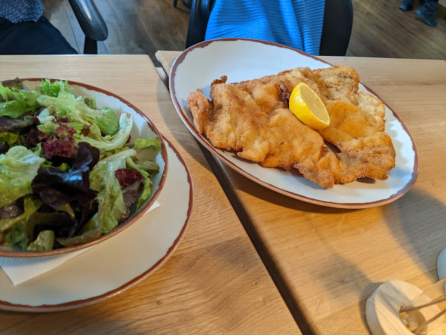 Albrechtsbergergasse 1, 3400 Klosterneuburg