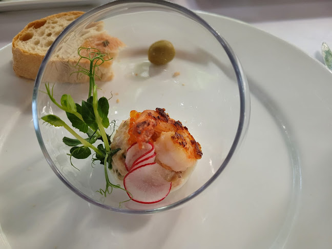 Comentarii opinii despre Toro Toro