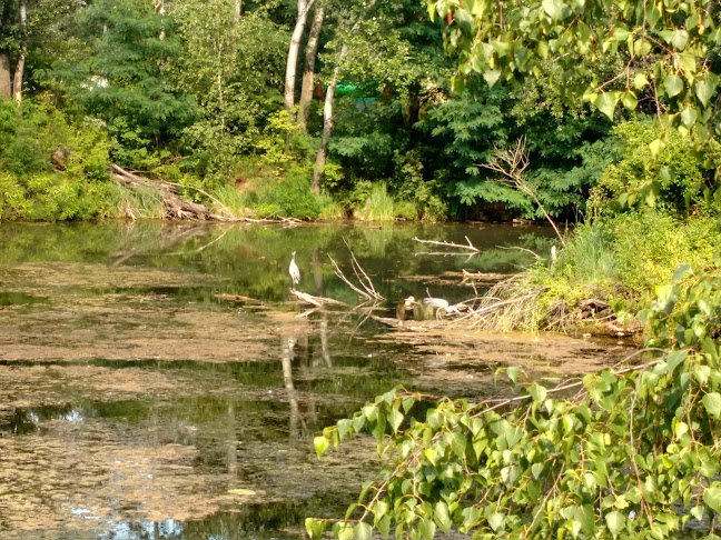 Ströck - Gänsehäufel - Gastronomie und Hotellerie