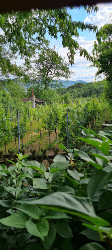 Obere Innerthalen 25, 2103 Langenzersdorf