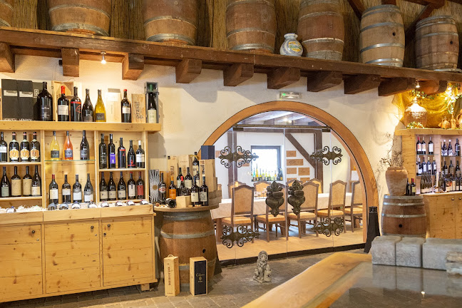 Opinii despre Vinoribis GmbH Privatkellerei în Neustift im Stubaital - Gastronomie und Hotellerie