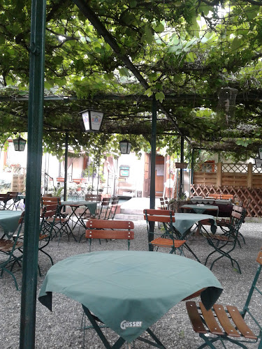 Comentarii opinii despre Italo Steirer