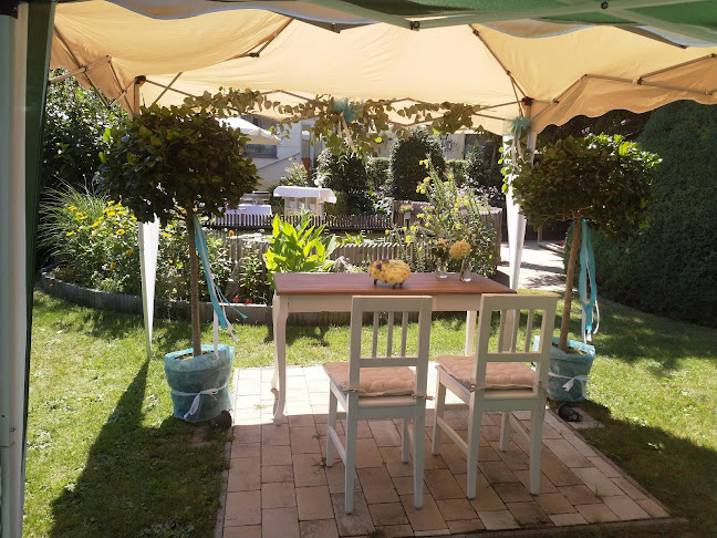 Cafe-Restaurant Steiner