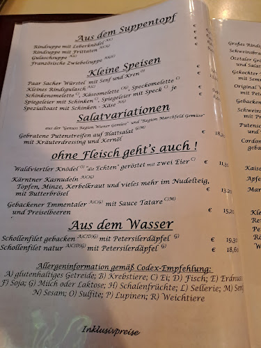 Gschamster Diener - Wien