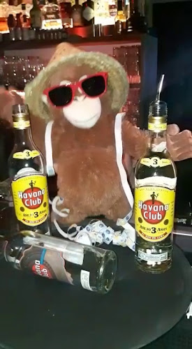 Monkeys University - Klagenfurt am Wörthersee