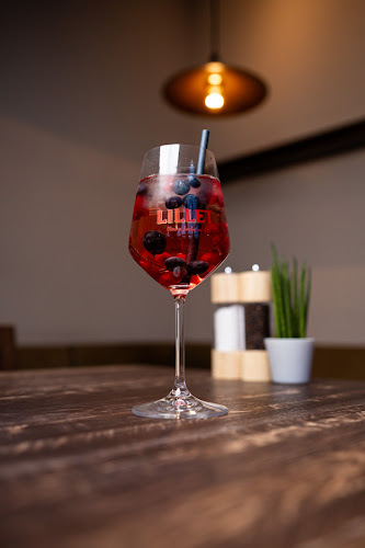 Comentarii opinii despre ARGE Beisl