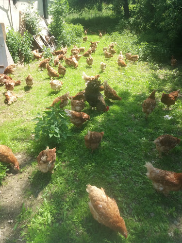 Vinzenz Nessmann - Gastronomie und Hotellerie