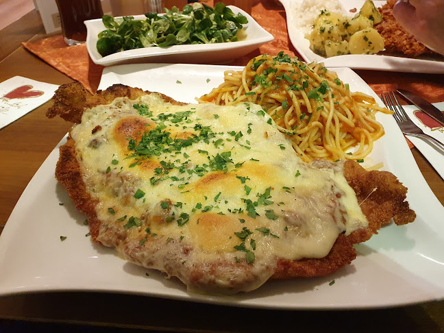 Karl-Punzer-Straße 15, 4400 Steyr