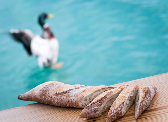 Bäckerei Wienerroither Lidmanskygasse - Gastronomie und Hotellerie