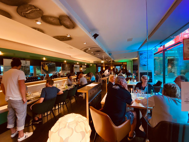 Schicker Restaurant - Catering - Vinothek - Café - Rösterei - Gastronomie und Hotellerie