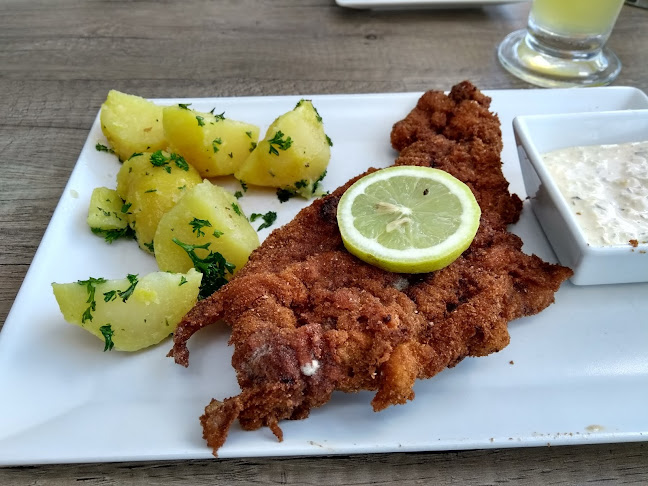 Opinii despre Gasthaus Dürnberg în Ottensheim - Gastronomie und Hotellerie