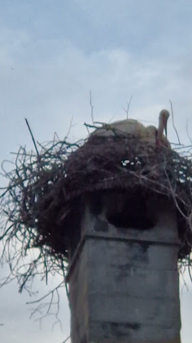 Schiffsmeisterhaus Hotel Restaurant - Gastronomie und Hotellerie