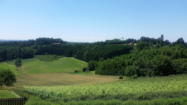 Comentarii opinii despre Gasthaus Kochauf