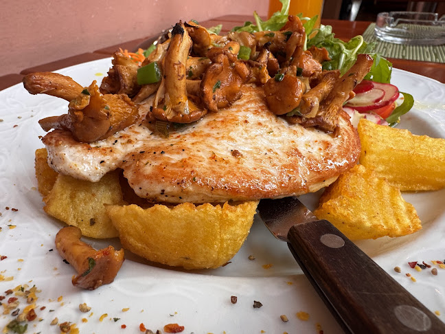 Osterwitzgasse 7, 9020 Innere Stadt