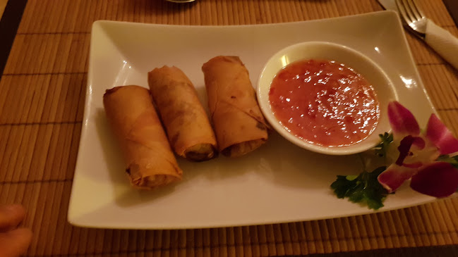 Comentarii opinii despre Bangkok Vienna