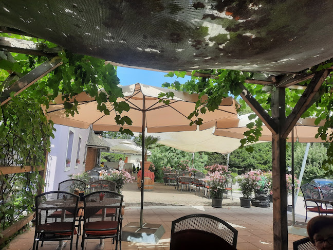 Restaurant-Kanonenhof Alpe-Adria-Balkan-Spezialitäten Inhaber Fam. Jasarevic, Landesstraße 1, 9073 Lambichl